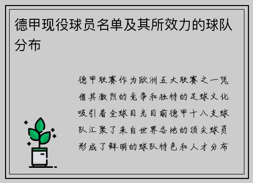 德甲现役球员名单及其所效力的球队分布